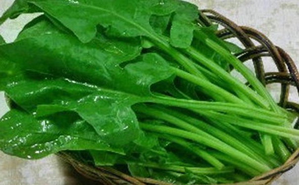 吃菠菜能減肥嗎？菠菜有減肥的作用嗎？(1)