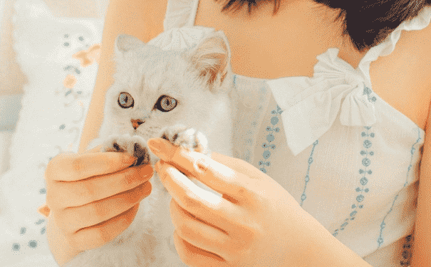 女性哪些習(xí)慣易引發(fā)宮頸糜爛？女性如何預(yù)防宮頸糜爛？(1)