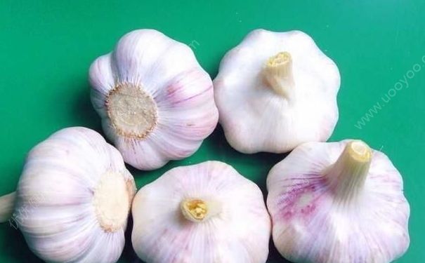 常吃什么食物能預(yù)防女人??？吃什么食物能預(yù)防女性疾病？(4)