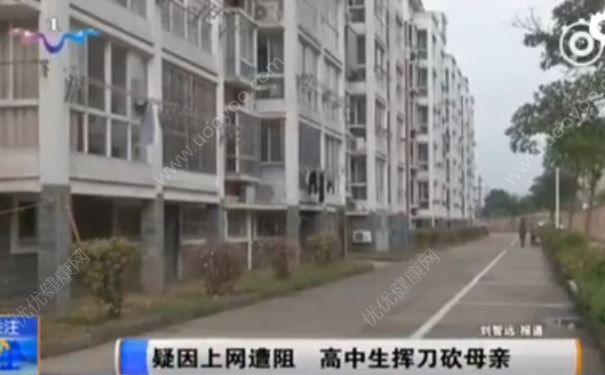 上網遭拒被拔網線，高中生猛砍母親七八刀，叛逆期怎么教育？(3)