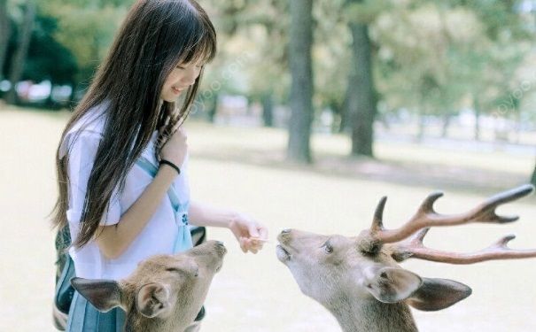 為什么我一到夏天就臉發(fā)癢？夏天臉上發(fā)癢怎么辦？(1)