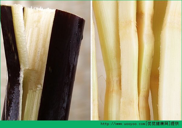 甘蔗和梨煮水的功效是什么？甘蔗雪梨糖水做法介紹(4)