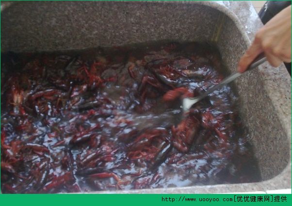 洗龍蝦怎么洗法？龍蝦怎么清洗最干凈？(2)