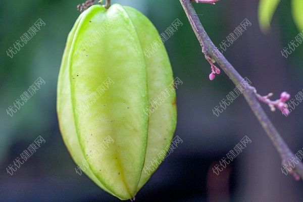 楊桃可以怎么吃？楊桃的吃法介紹(1)