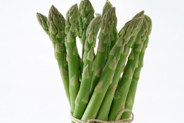 蘆筍怎么吃？蘆筍怎么做好吃？(1)