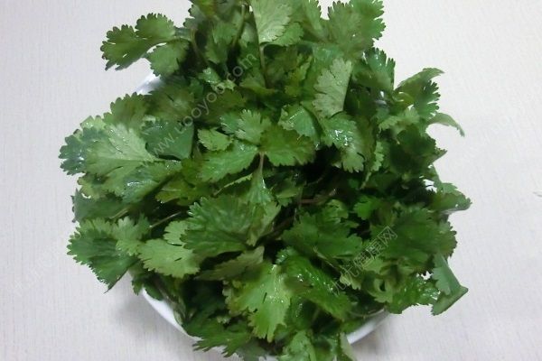 蒜香茄子怎么做？蒜香茄子的做法(2)