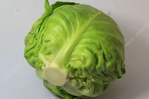 包菜怎么做好吃？包菜怎么炒好吃？(5)