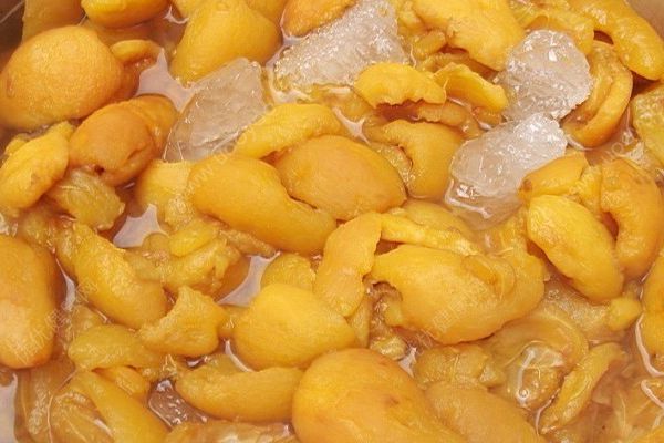 川貝枇杷膏怎么做？川貝枇杷膏怎么服用？(3)