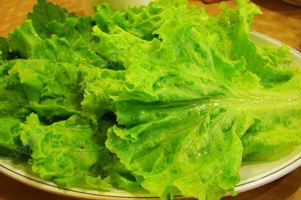 生菜和什么相克？生菜和什么一起吃好？(2)