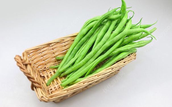 四季豆怎么做好吃？四季豆的做法(1)