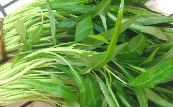 空心菜可以煮湯嗎？空心菜煮湯做法(1)