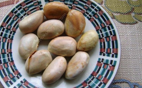 菠蘿蜜的核能吃嗎？菠蘿蜜的核怎么吃？(1)