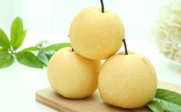 雪梨能和蘋果一起燉嗎？蘋果燉雪梨有什么好處？(3)