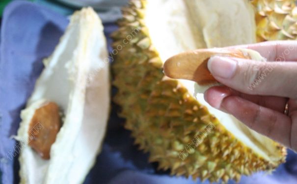 榴蓮核能吃嗎？榴蓮核怎么吃？(2)