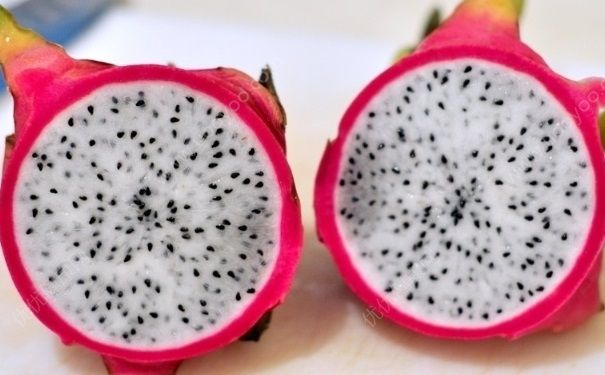 牛油果和火龍果能一起吃嗎？牛油果和火龍果怎么吃比較好？(2)