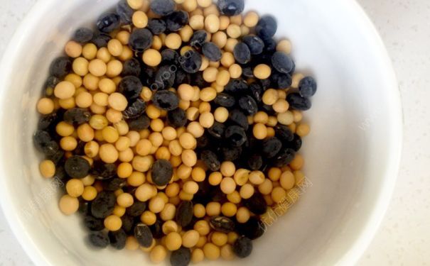 黃豆能和黑豆一起打豆?jié){嗎？黃豆和黑豆一起打豆?jié){可以嗎？(1)