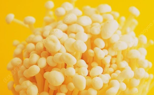 金針菇和玉米能一起吃嗎？玉米能和金針菇一起炒嗎？(1)