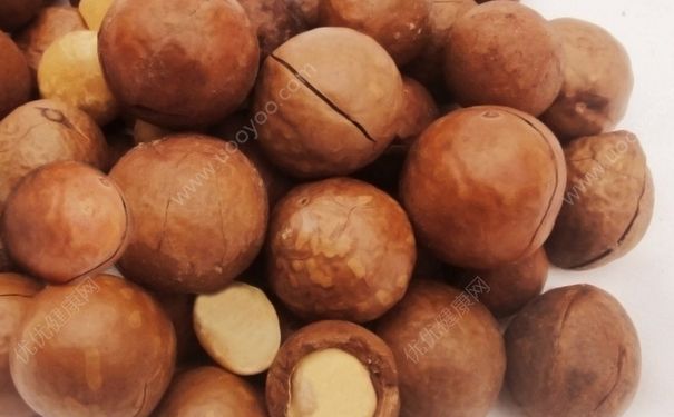 夏威夷果為什么叫夏威夷果？夏威夷果名字的由來(lái)(1)
