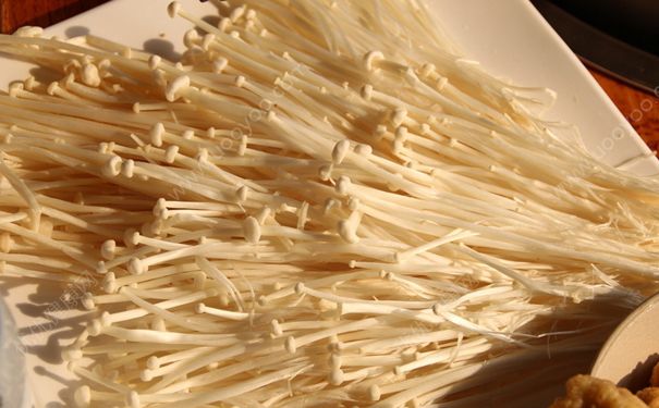 金針菇和冬瓜能熬湯嗎？冬瓜和金針菇一起吃好嗎？(1)