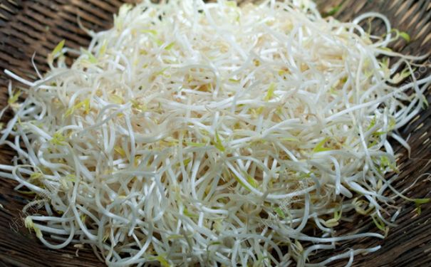 豆芽炒雞蛋怎么做好吃？豆芽炒雞蛋的做法(2)