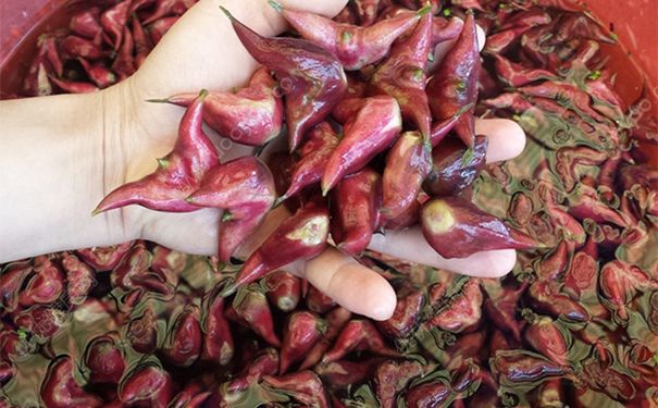 菱角怎么剝殼？生菱角怎么剝殼？(4)