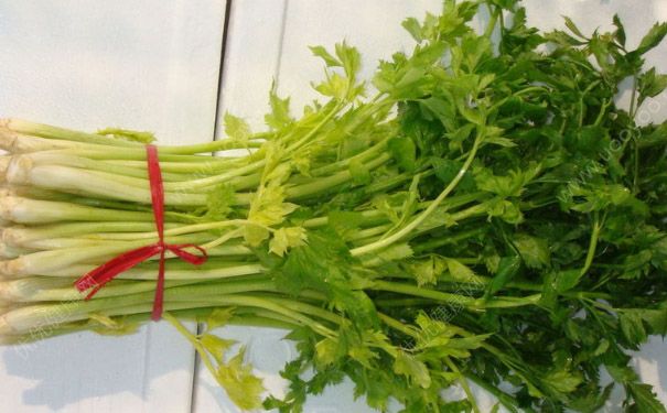 蘋果和芹菜能一起榨汁和嗎？蘋果和芹菜怎么榨汁好喝？(5)