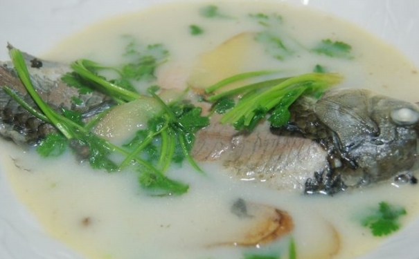鯽魚湯的做法有哪些？鯽魚湯如何做好吃又營養(yǎng)？(1)