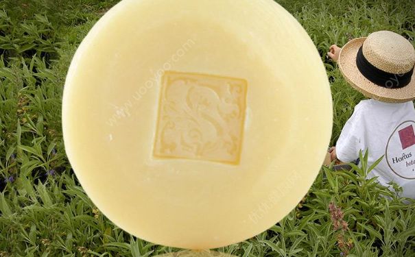 歐緹詩檸檬乳油木果手工皂好用嗎？歐緹詩檸檬乳油木果手工皂價格(1)