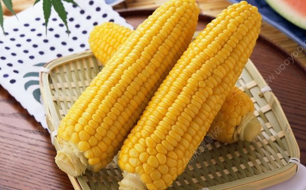 為什么玉米和番薯能減肥？玉米和番薯怎么吃能瘦身？(1)