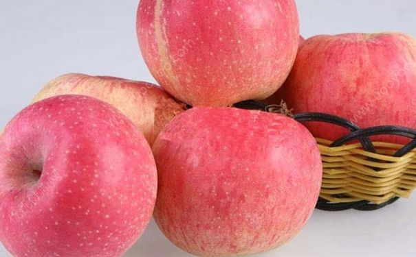 日常減肥食物有哪些？哪些食物低脂而且美味？(1)