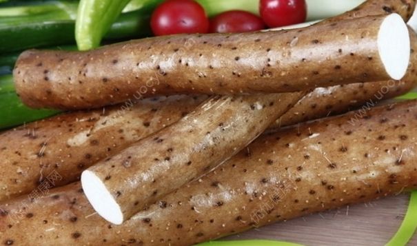 能補充營養(yǎng)的減肥食物有哪些？哪些食物能夠加快新陳代謝？(1)