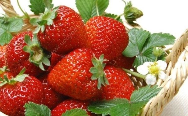 夏天減肥水果有哪些？夏天吃什么容易減肥？(1)