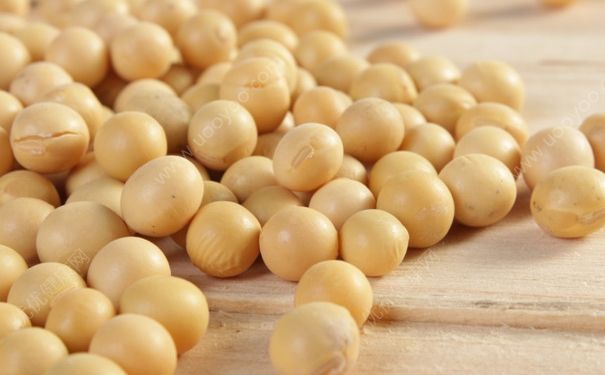 女性經(jīng)常吃哪些食物利于長胸？哪些食物對長胸效果比較好？(1)