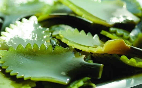 吃什么食物對乳腺增生有好處？哪些食物可以治療乳腺增生？(1)