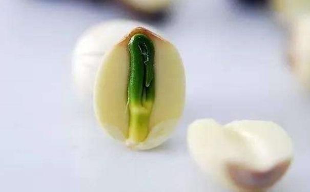 男性補(bǔ)腎壯陽(yáng)吃什么食物？補(bǔ)腎壯陽(yáng)的食材有哪些呢？(1)