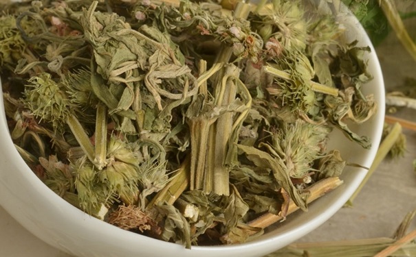 哺乳期可以吃益母草嗎？益母草的功效作用有哪些？(1)