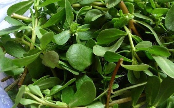 孕期需要養(yǎng)成哪些睡前好習(xí)慣？孕期吃哪些食物對胎兒不好？(1)