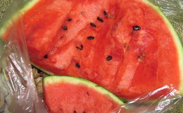 夏天吃西瓜拉肚子怎么回事？夏天吃西瓜為什么會拉肚子？(4)