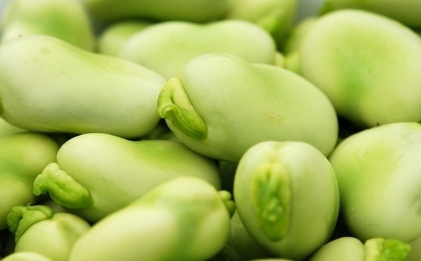 吃蠶豆可以緩解便秘嗎？吃蠶豆對(duì)身體有什么功效？(1)