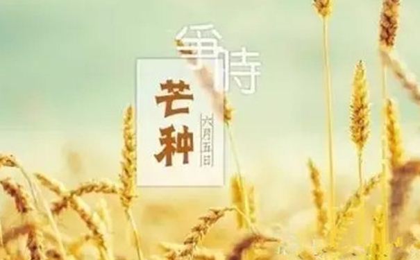 芒種時(shí)節(jié)怎樣養(yǎng)生保健？芒種期間養(yǎng)生要點(diǎn)(1)