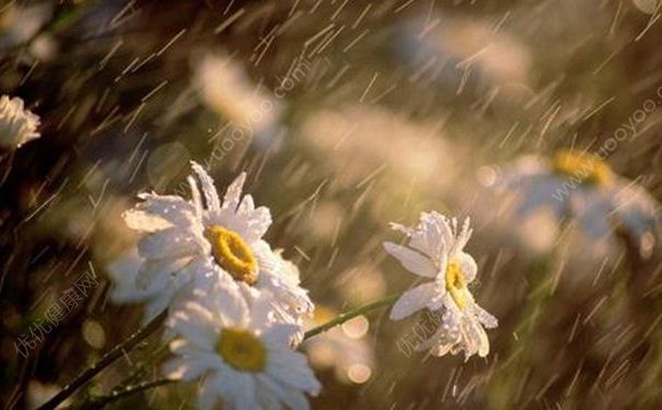 夏季連續(xù)下雨衣服不干怎么辦？夏季下雨衣服幾天不干怎么辦？(2)