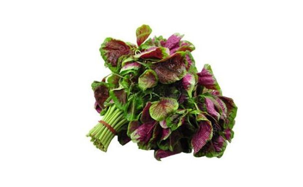 夏日流汗多多吃莧菜好嗎？夏季經(jīng)常出汗應(yīng)該怎么調(diào)理？(1)