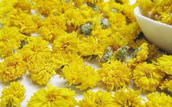 喝菊花茶有什么講究？喝菊花茶要講究什么？(1)