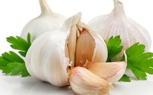 驅(qū)蚊止癢有哪些妙招？吃大蒜真的可以驅(qū)蚊嗎？(1)
