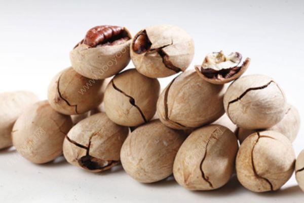 適合孕婦吃的堅(jiān)果有哪些？食用碧根果時(shí)要注意什么？(1)