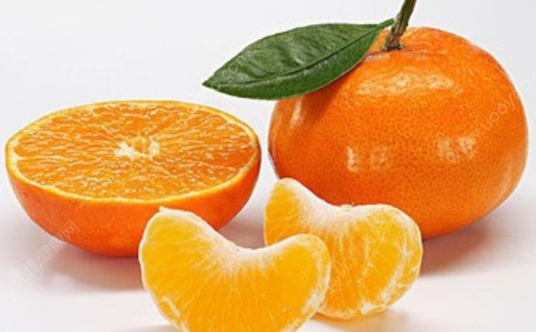 長壽之人都有哪些特征？長壽食物有哪些？(1)