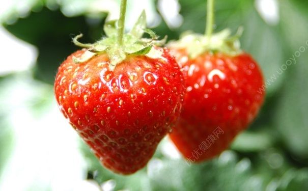 最適合當(dāng)早餐的食物有哪些？不同人群最適合的早餐是什么？(1)