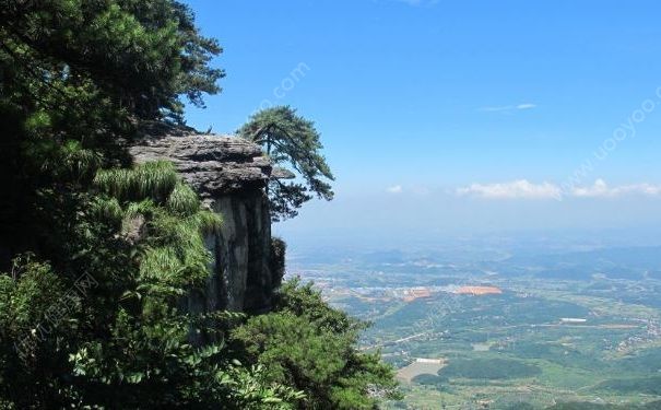 游客買草藥8元1斤變8元1克，商家：不付讓你爬不出廬山(3)