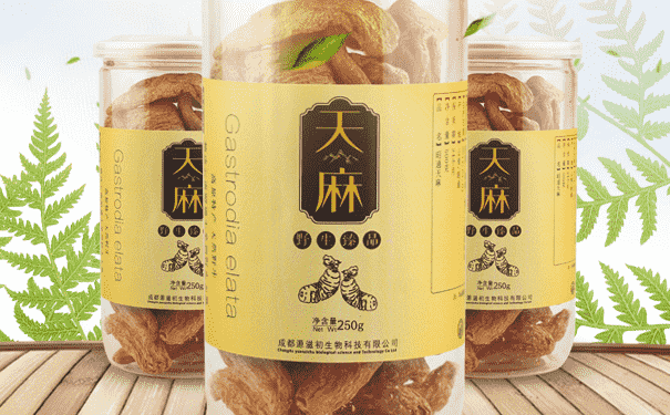 吃天麻注意什么？服用天麻要注意什么？(1)