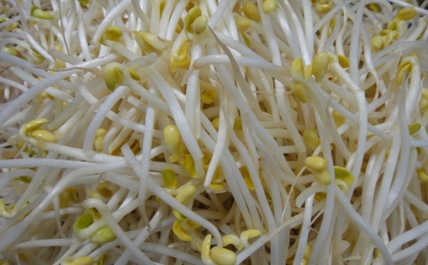 怎樣自己發(fā)黃豆芽？黃豆芽怎么自己發(fā)最好？(1)